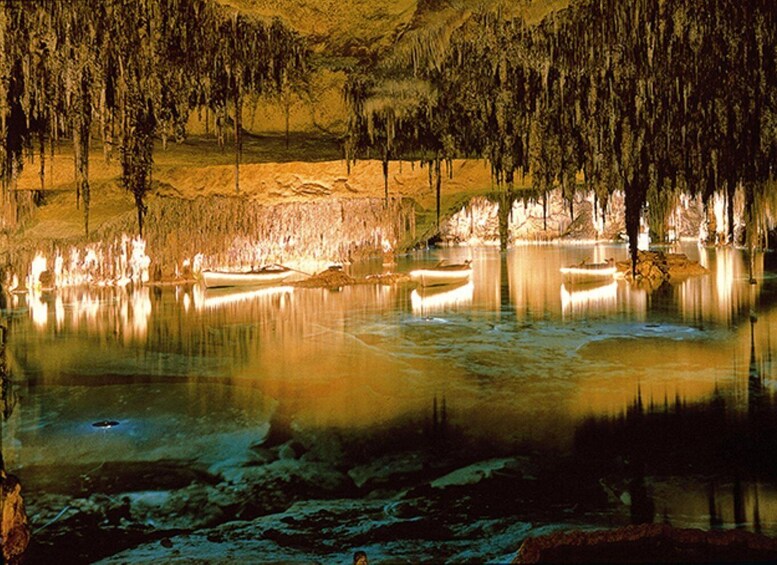 A cave with illuminated trees and a calm lake. 4