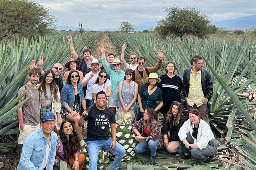 A group of people in a field with agave plants. 5
