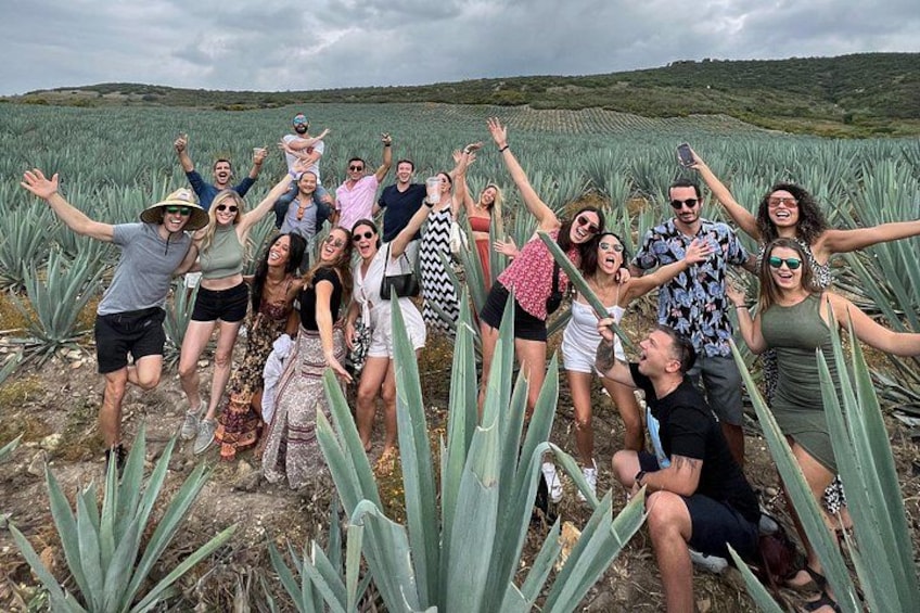 A group of people in a field with agave plants. 2