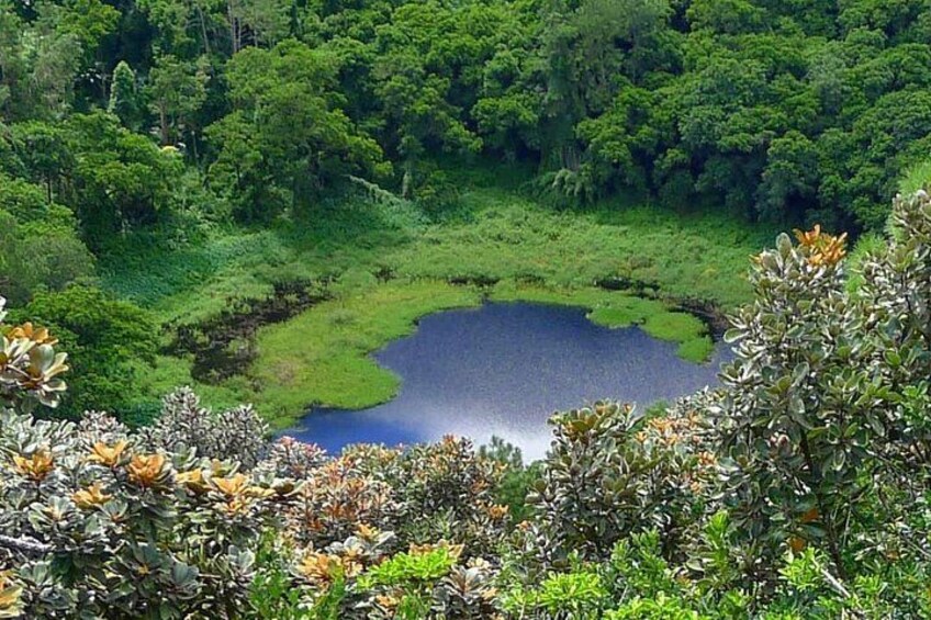 Trou Aux Cerfs Volcano 4