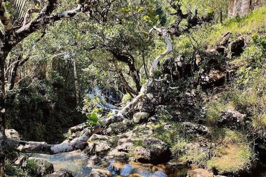 Alexandra Falls 2