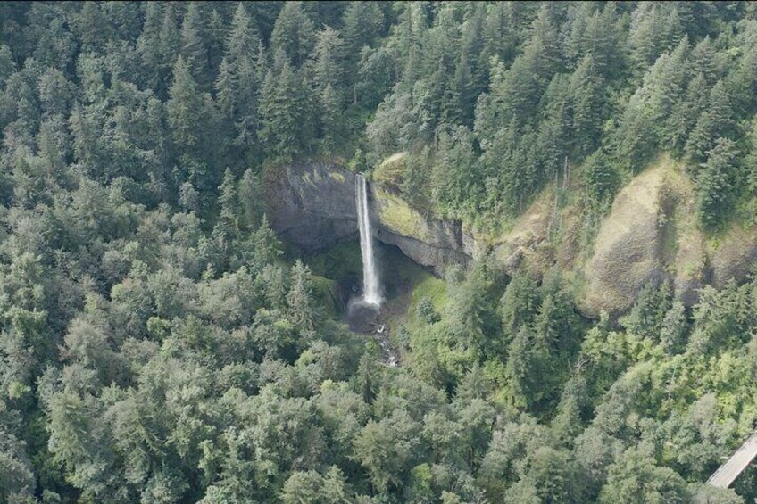 A waterfall surrounded by dense forest. 5