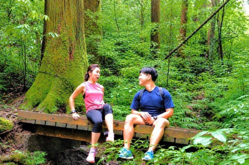 Live Like a Local: Mt. Takao Hike, Shrine Tour, Onsen & Feast 1