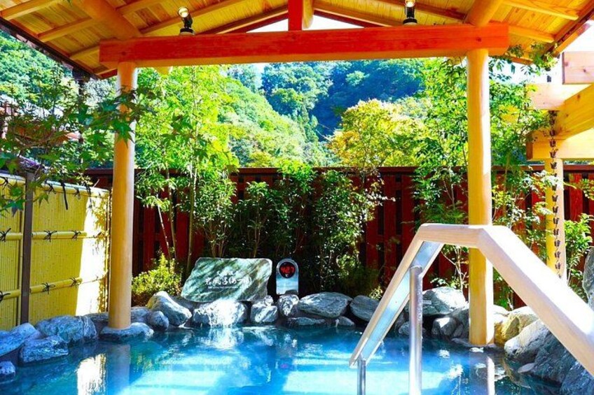 Live Like a Local: Mt. Takao Hike, Shrine Tour, Onsen & Feast 5