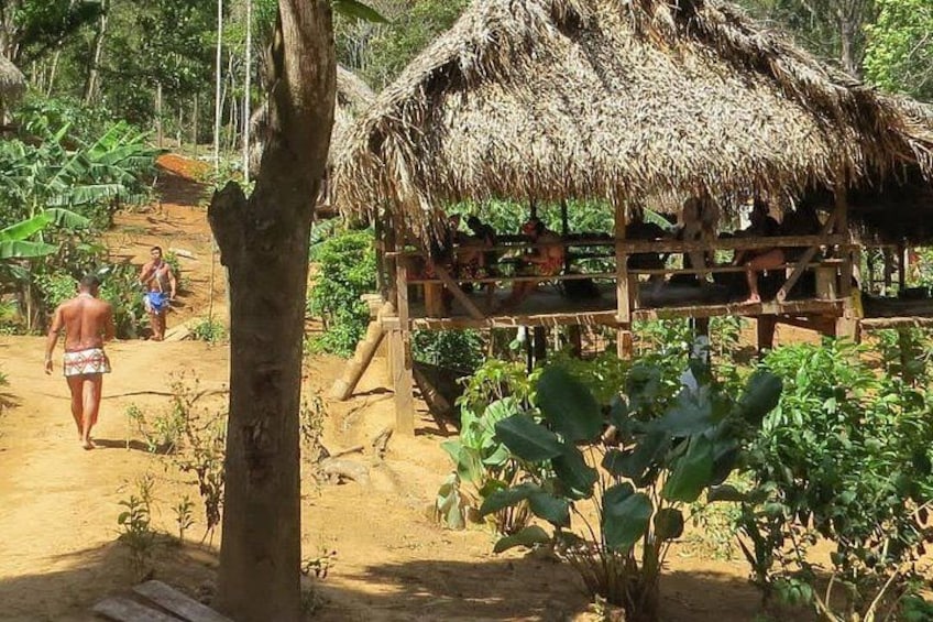 Villages of the Embera community 3