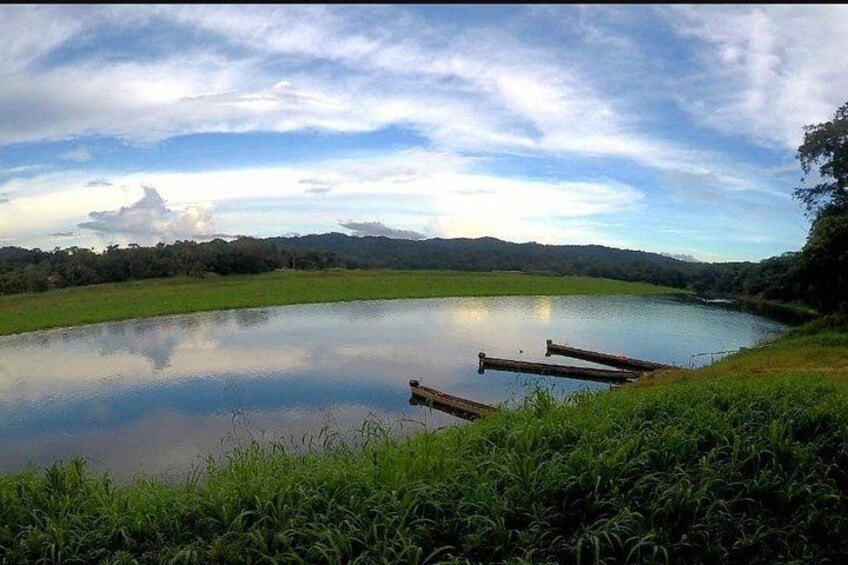 Beautiful view of the lake 4