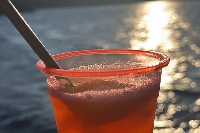 A plastic cup with a straw, filled with a red liquid, against a backdrop of water and sunlight. 4