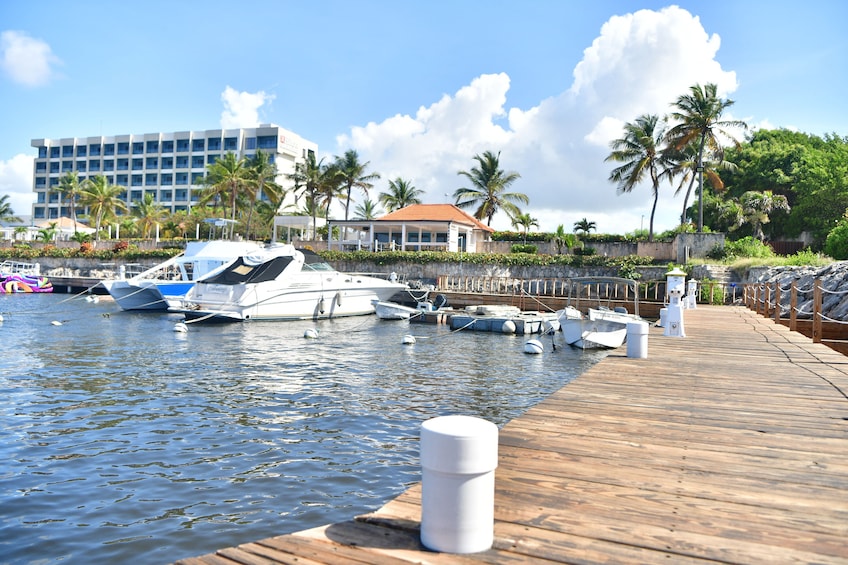 Catalina Island Experience and Snorkel from Punta Cana 1