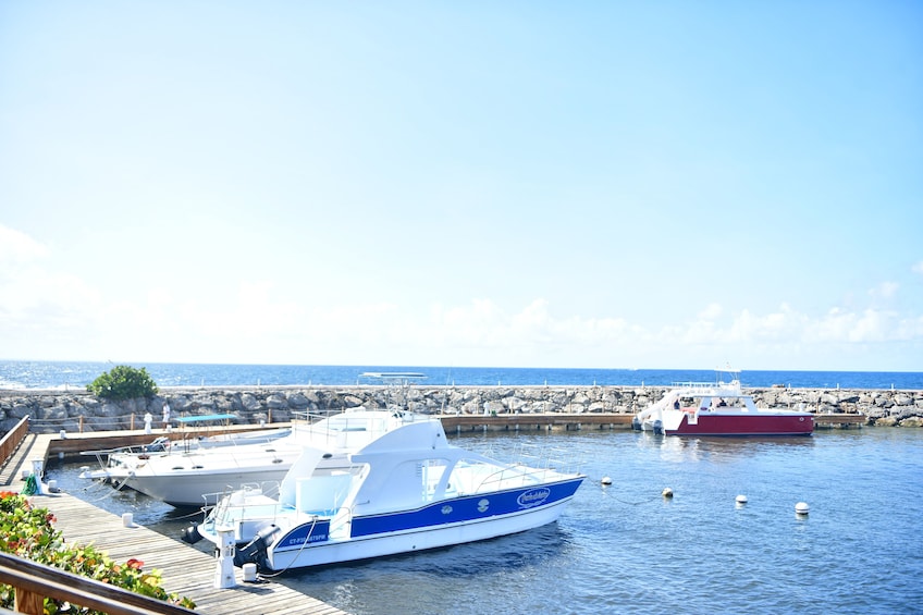 Catalina Island Experience and Snorkel from Punta Cana 5