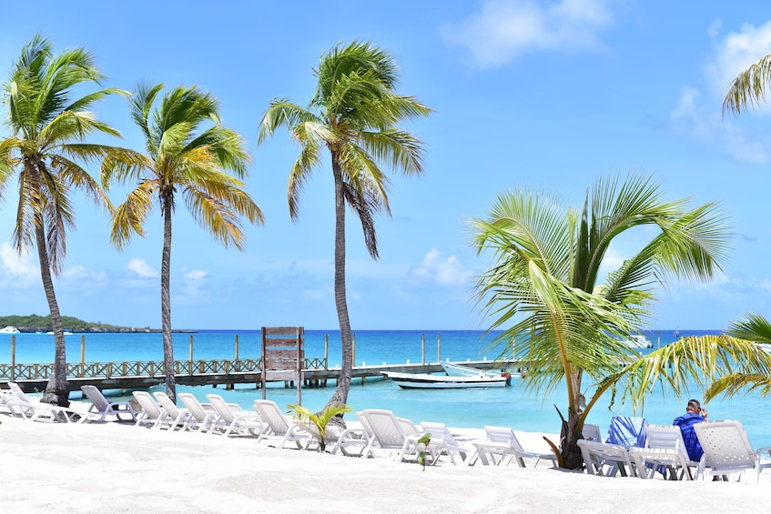 Catalina Island Experience and Snorkel from Punta Cana 2