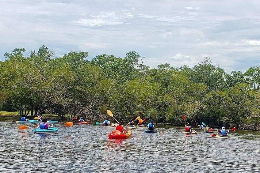 Kayak River Tour to a Private Island 2