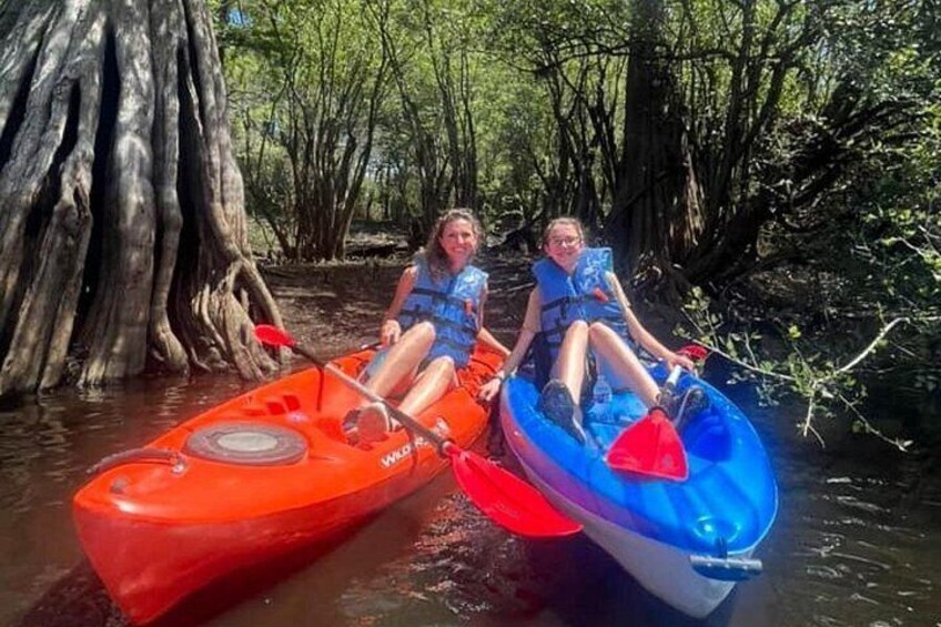 Two people in kayaks on a river surrounded by mangrove trees. 4