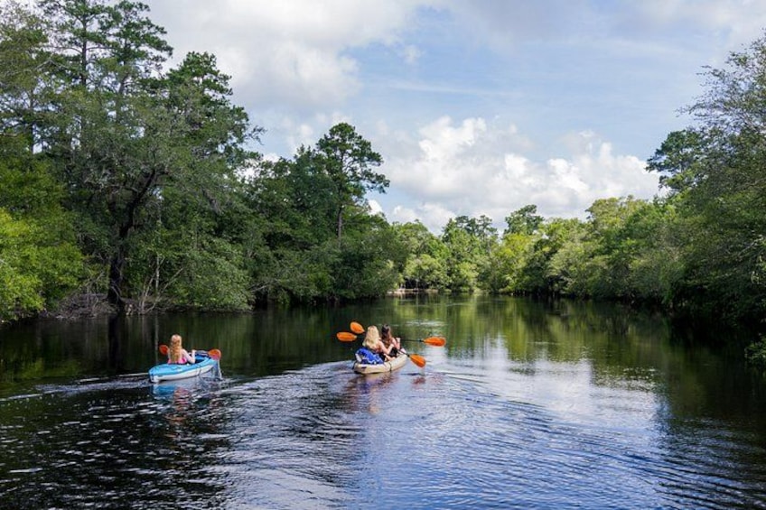 Two kayaks on a calm river surrounded by dense trees. 2