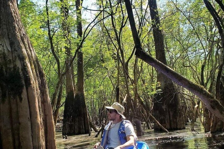 A person sitting on a log in a mangrove forest. 2