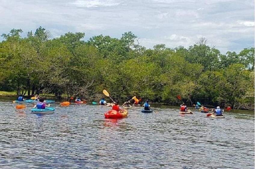 Kayak River Tour to a Private Island 4