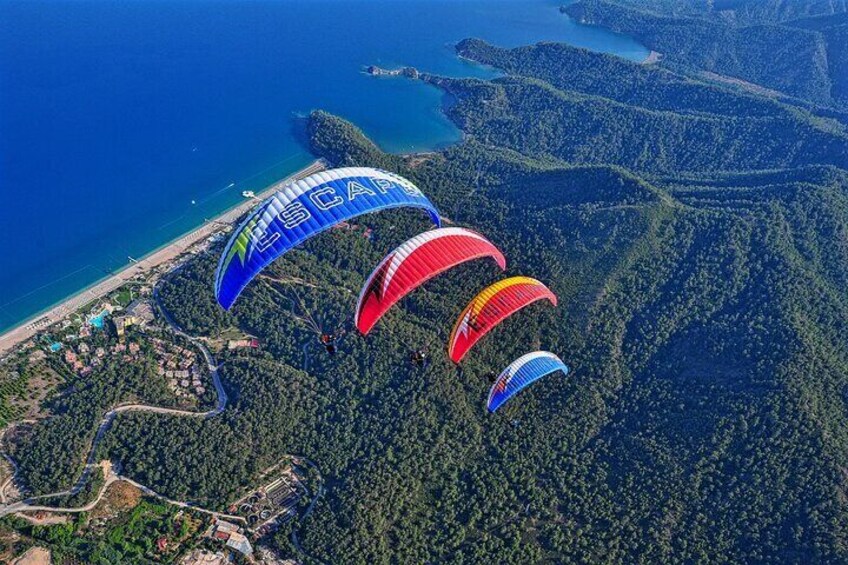 Un grupo de parapentistas con canopies de colores volando sobre una zona costera con bosques densos y una playa. 3