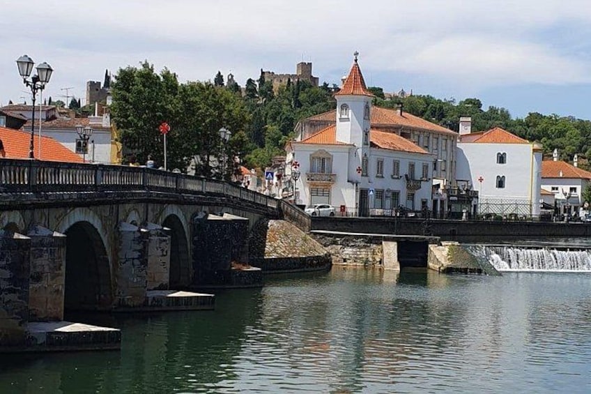 A stone bridge over a calm river, white buildings with red roofs, and a distant castle. 1