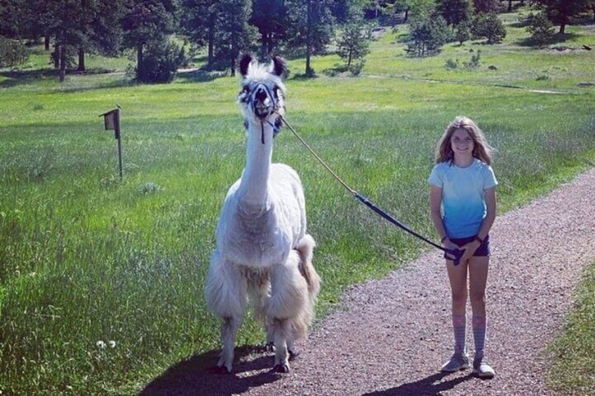 Llamas love kids 5