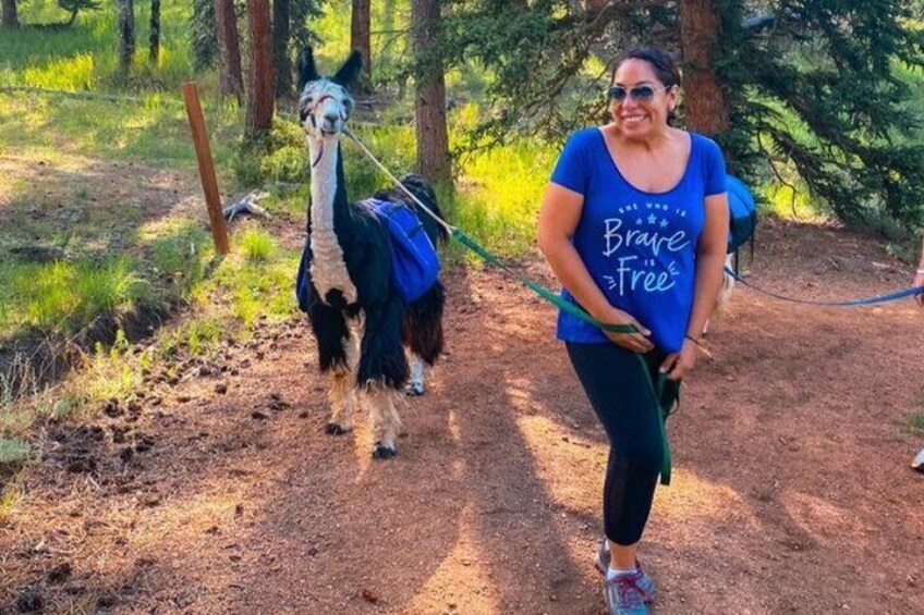 Guided llama hike 2