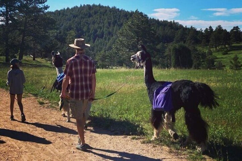 Family hike in the Rocky Mountains 1
