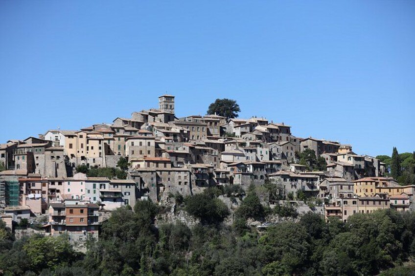 A densely packed hillside town with historic buildings, a prominent tower, and lush greenery at the base. 3