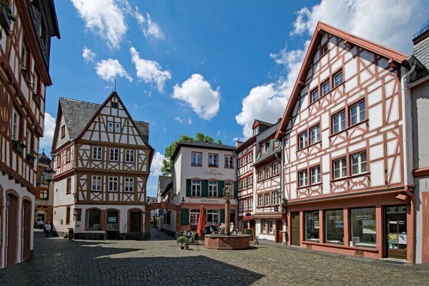 Half-Day Private Tour from Frankfurt to Mainz by Train