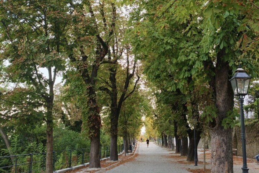 Zagreb Small-group tour (funicular & WWII tunnel included) 5