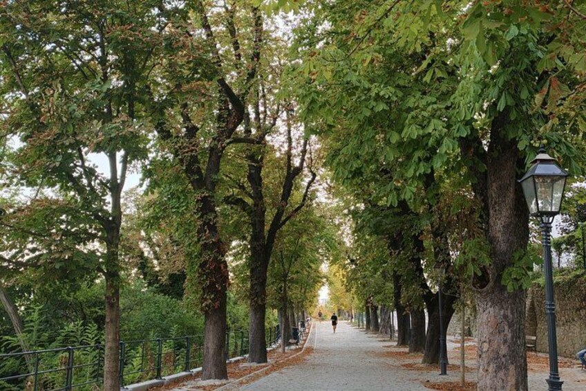 Zagreb Small-group tour (funicular & WWII tunnel included) 3