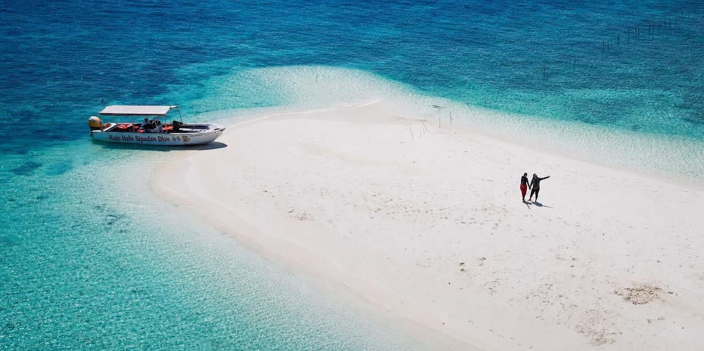 Picture 5 for Activity Semporna : Mataking, Timba & Pom Pom Island Hopping Tour 4