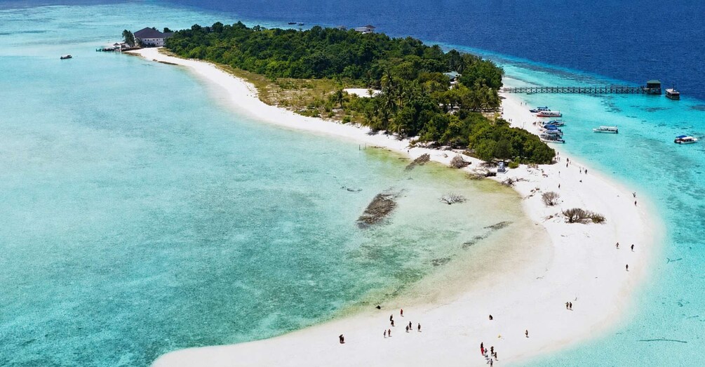 Picture 4 for Activity Semporna : Mataking, Timba & Pom Pom Island Hopping Tour 2