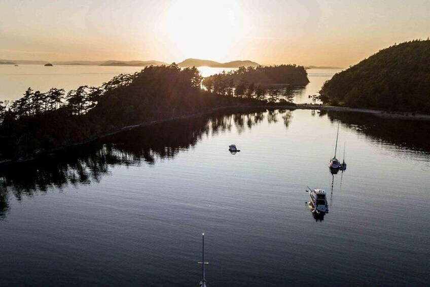 Bioluminescence Kayak Tour in the San Juan Islands 2