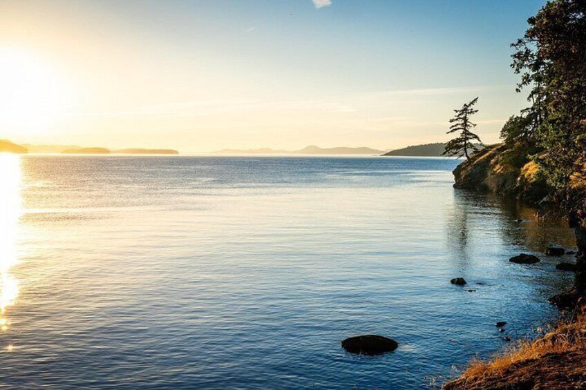 Bioluminescence Kayak Tour in the San Juan Islands 2