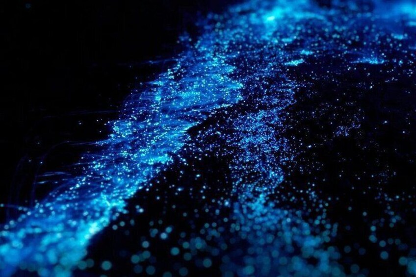 Bioluminescence Kayak Tour in the San Juan Islands 2