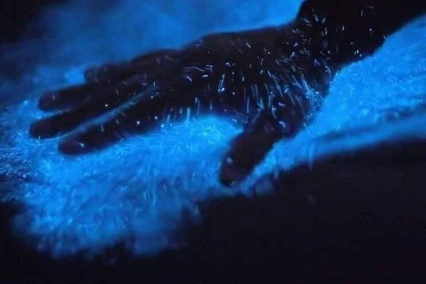A hand with a blue glow, possibly from a light source, resting on a textured surface. 3