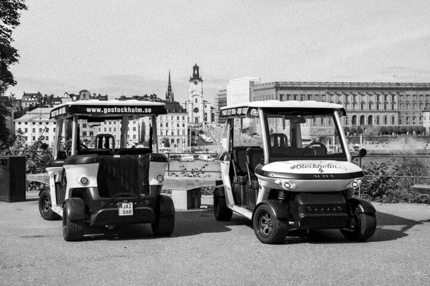 Stockholm Private Golf Cart Tours 4