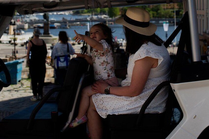 Stockholm Private Golf Cart Tours 2