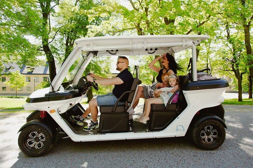 Stockholm Private Golf Cart Tours 2
