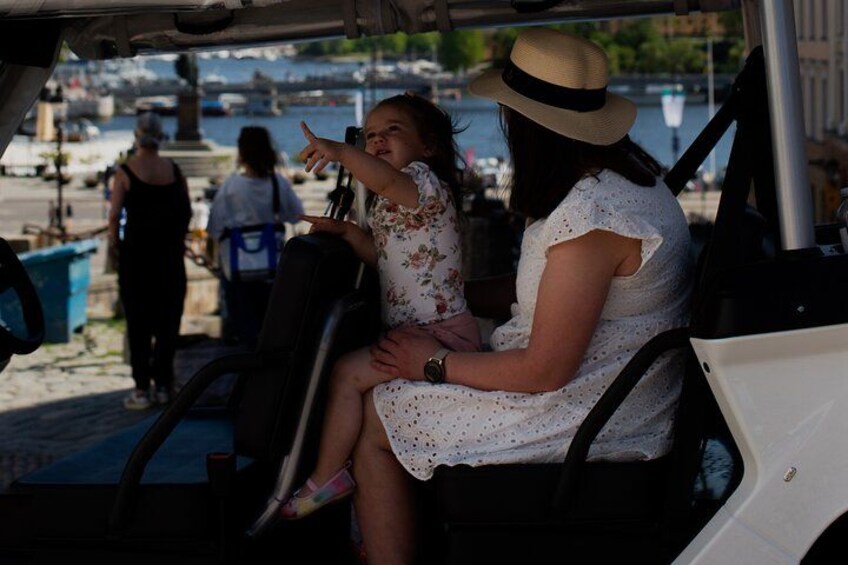 Stockholm Private Golf Cart Tours 2