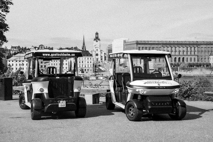 Stockholm Private Golf Cart Tours 5
