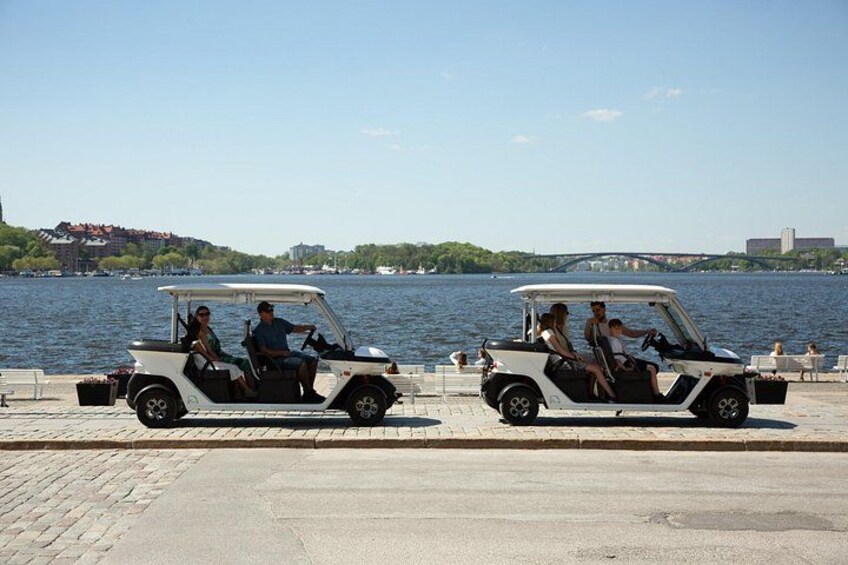 Stockholm Private Golf Cart Tours 2