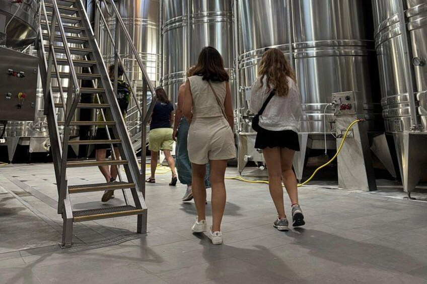 Half-Day E-Bike Tour In Entre-Deux-Mers W/ Wine tasting & Lunch 2