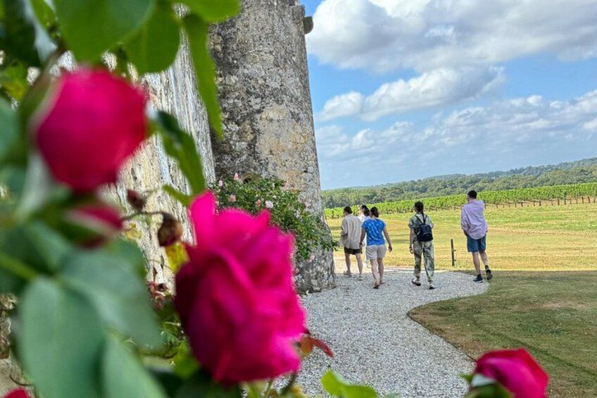 Half-Day E-Bike Tour In Entre-Deux-Mers W/ Wine tasting & Lunch 4