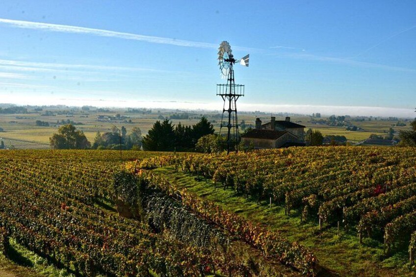 A windmill, a field of crops, and a distant house. 2
