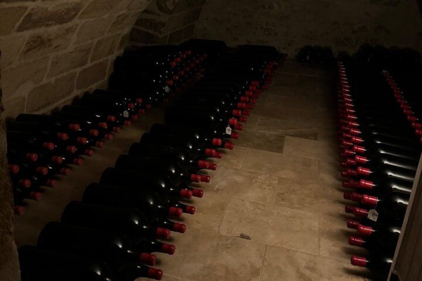 Half-Day E-Bike Tour In Entre-Deux-Mers W/ Wine tasting & Lunch 4