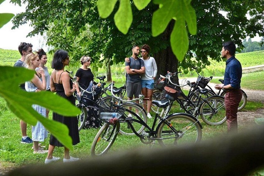 Half-Day E-Bike Tour In Entre-Deux-Mers W/ Wine tasting & Lunch 1