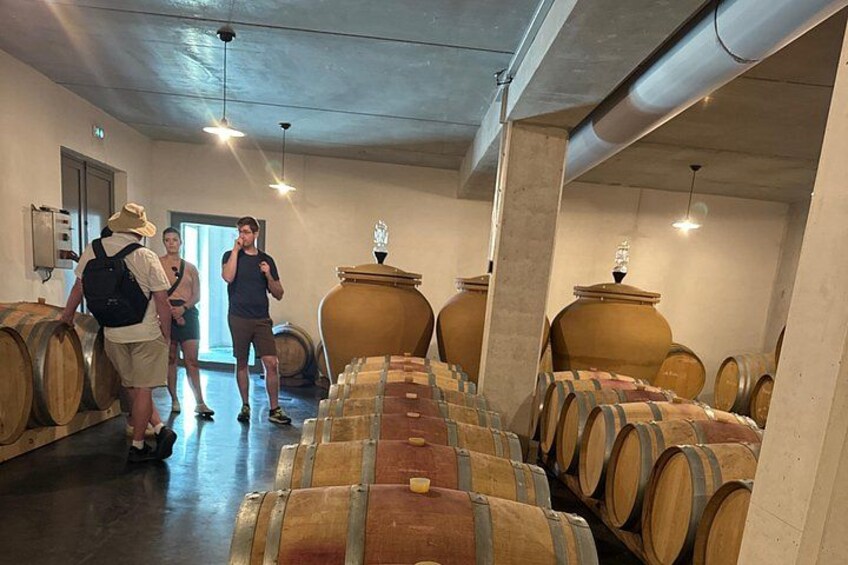Half-Day E-Bike Tour In Entre-Deux-Mers W/ Wine tasting & Lunch 5