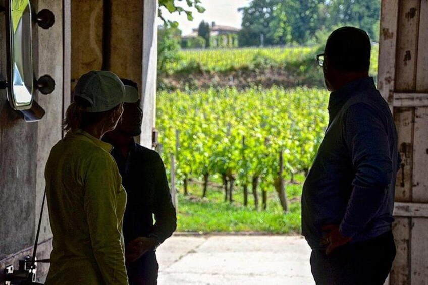 Half-Day E-Bike Tour In Entre-Deux-Mers W/ Wine tasting & Lunch 2