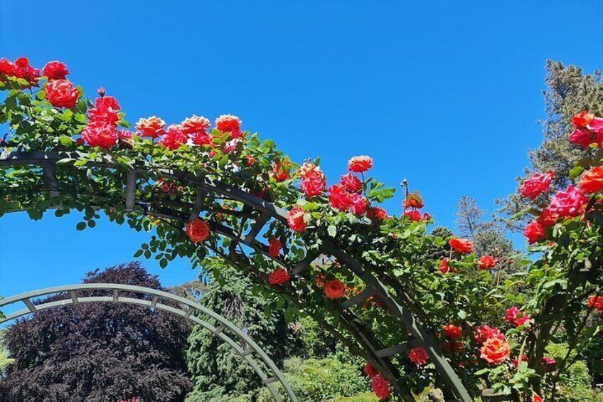Christchurch City Highlights Half Day Tour 4