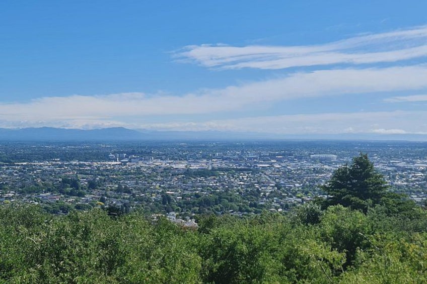 Christchurch City Highlights Half Day Tour 4