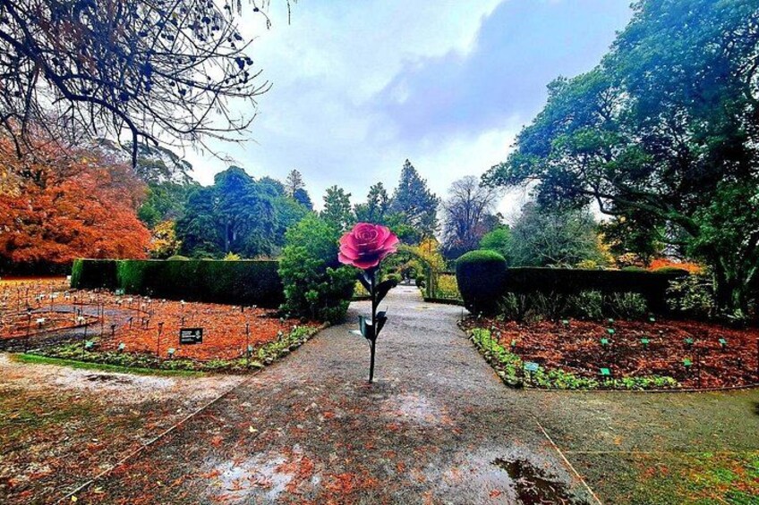 Christchurch City Highlights Half Day Tour 4